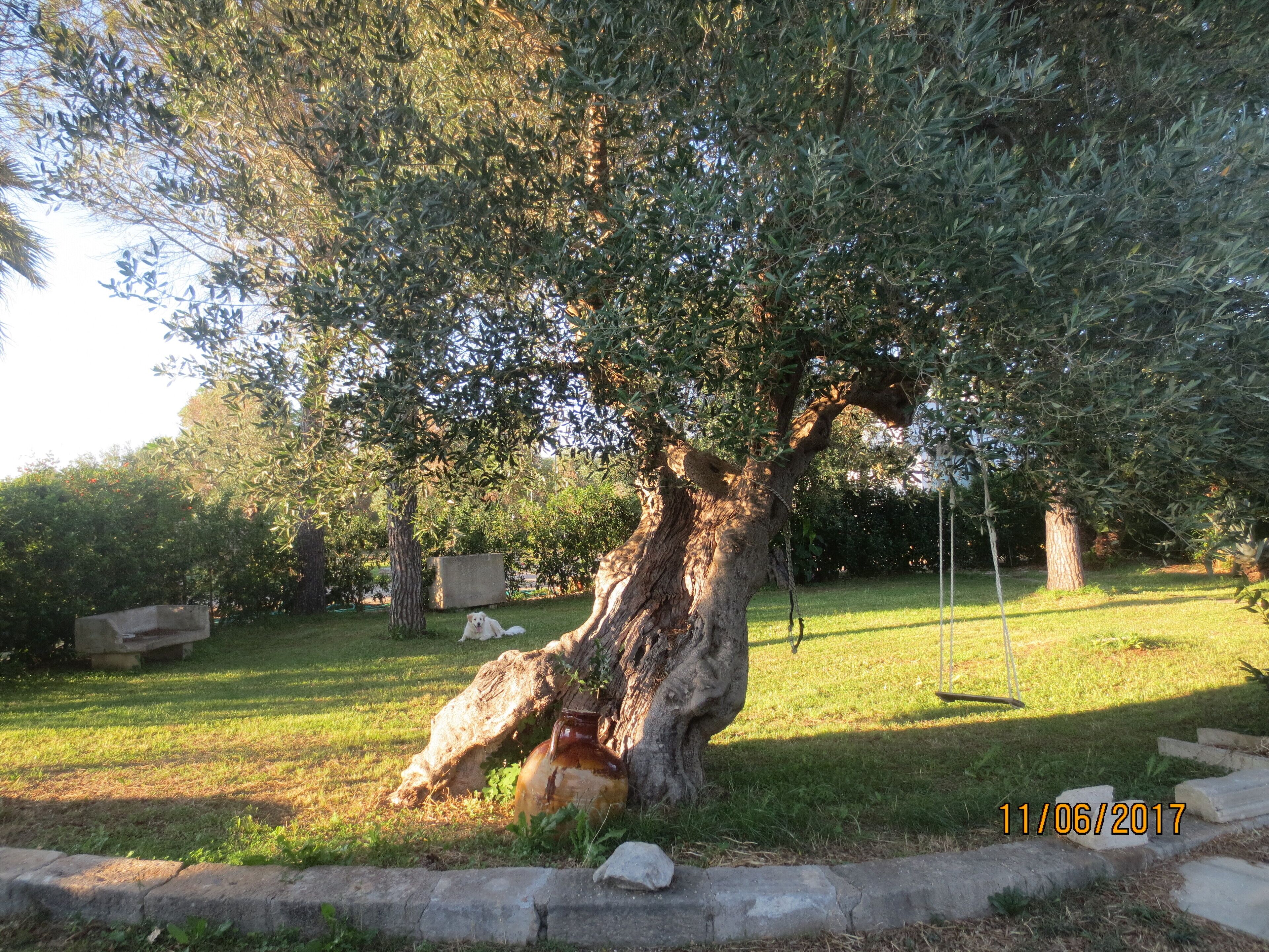 Small house in the countryside, the small "Cornula", Salento