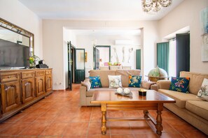 Una Smart TV, una chimenea, videojuegos, un reproductor de DVD