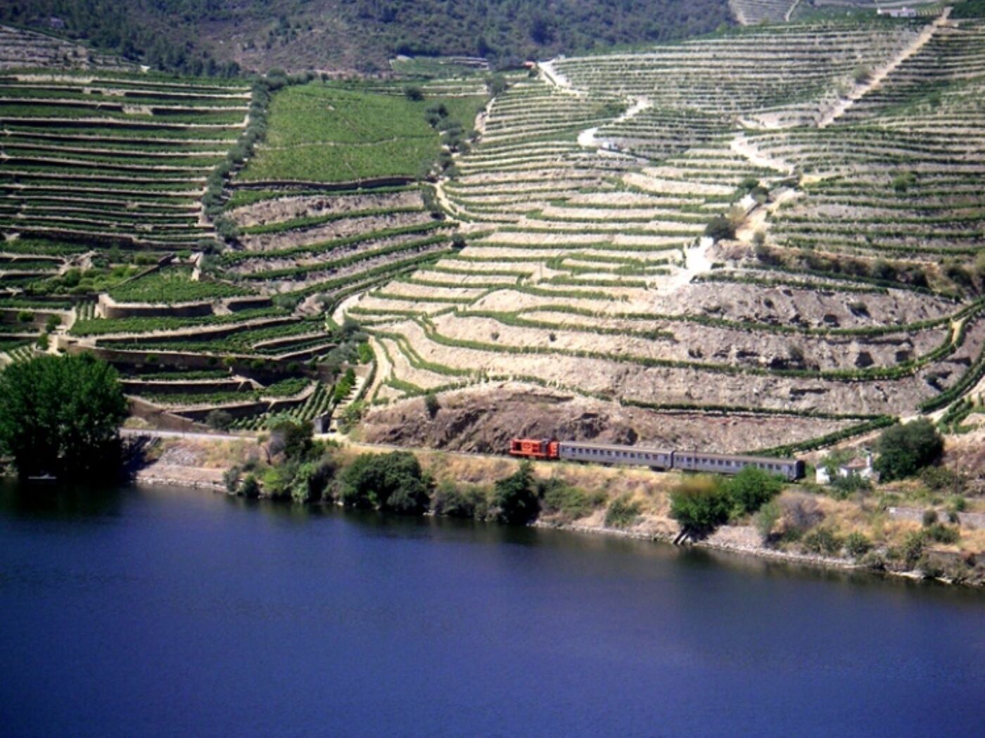Terraced vineyards along a river.