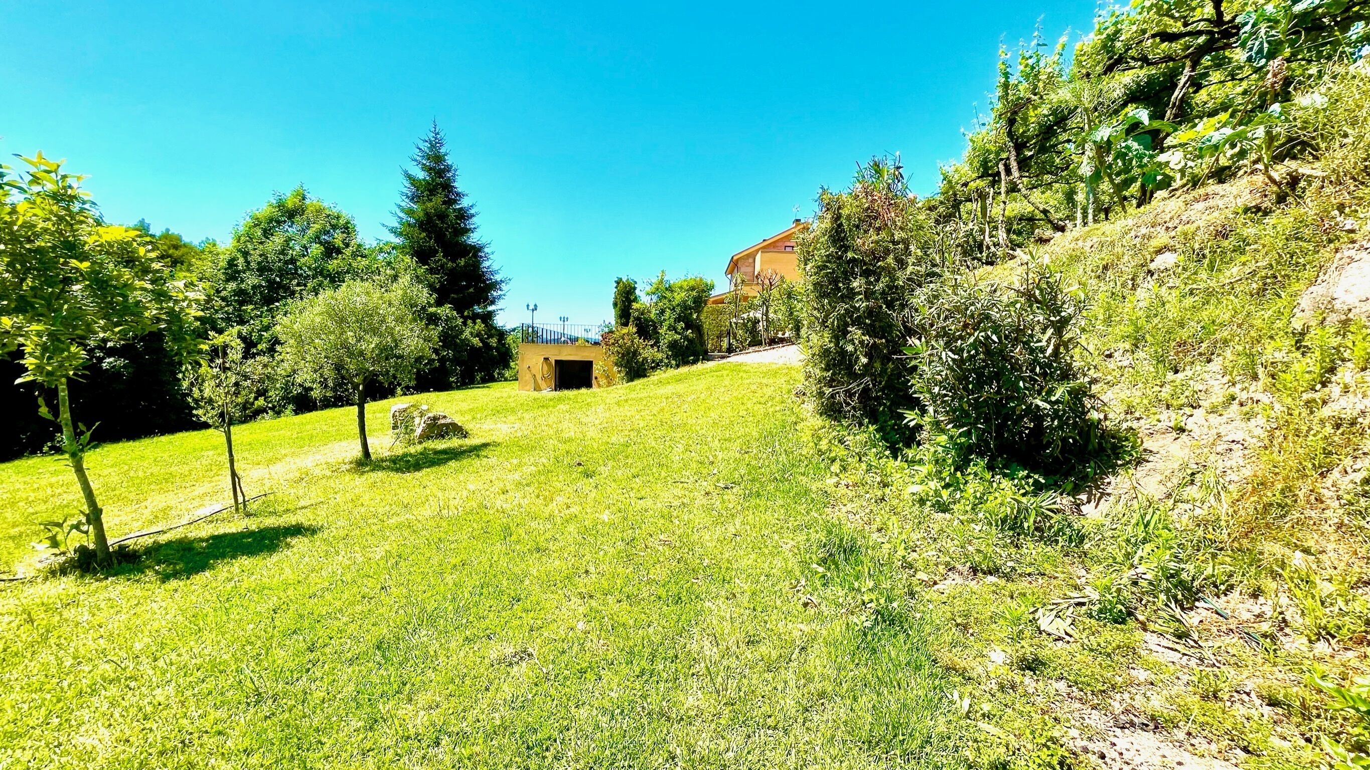 A grassy hillside with trees and a building in the background.