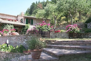 Property grounds - HOLIDAY HOME "L'OASI" IN ASSISI - Private entrance, Garden with swimming pool (Costa di Trex)