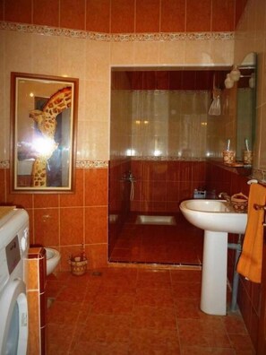 Bathtub, bidet, towels
