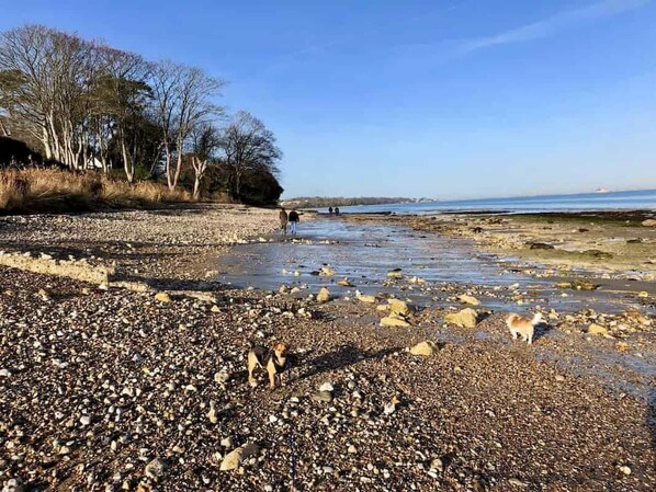 Beach nearby