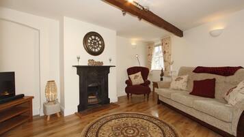 TV, fireplace, DVD player, books