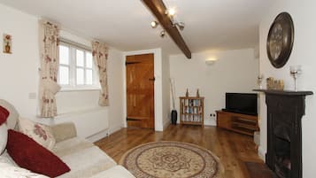 TV, fireplace, DVD player, books