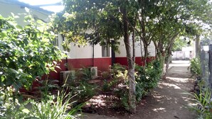 Un sendero estrecho bordeado por abundante vegetación y un edificio de paredes rojas y blancas.