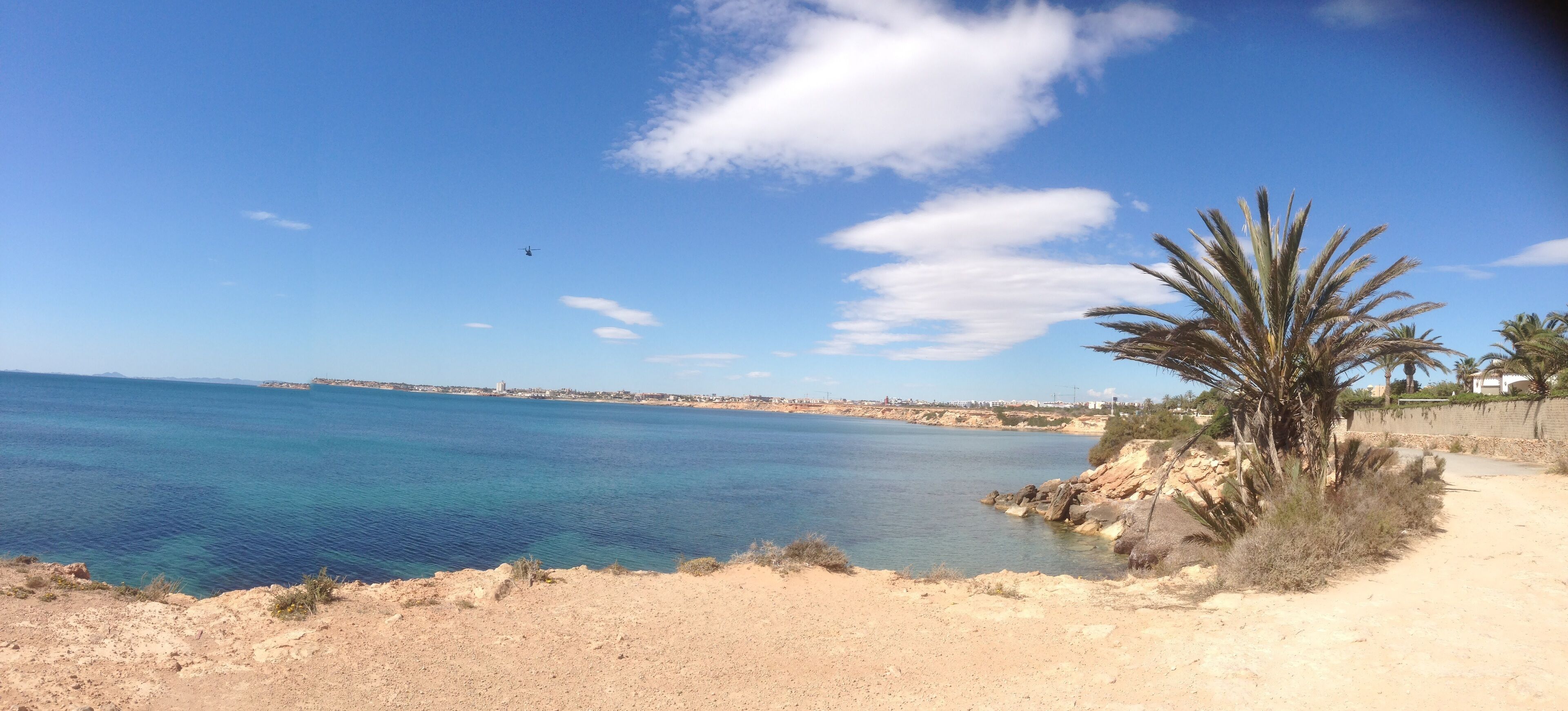 A coastal landscape with a clear sky, a sandy beach, and a palm tree.