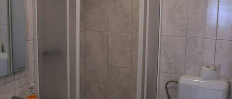 A bathroom with a shower enclosure, a sink, a toilet, and a mirror.