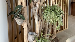 A wooden plant stand with multiple baskets and green plants. - Nice architect house with stunning pine view only 4km from Aix en Provence (Saint-Marc-Jaumegarde)