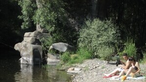 Entorno natural al aire libre con orilla de río rocosa y vegetación.