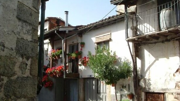 Una calle estrecha flanqueada por edificios, con balcones adornados con macetas y flores.