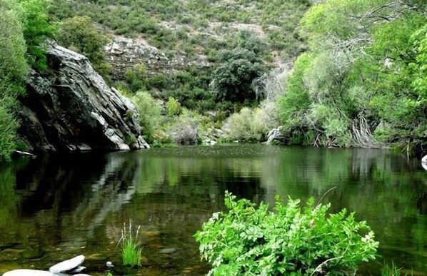 Un paisaje natural con un río tranquilo, terreno rocoso y abundante vegetación.