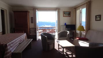 TV, fireplace, DVD player, books