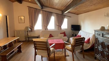 TV, fireplace, DVD player, books