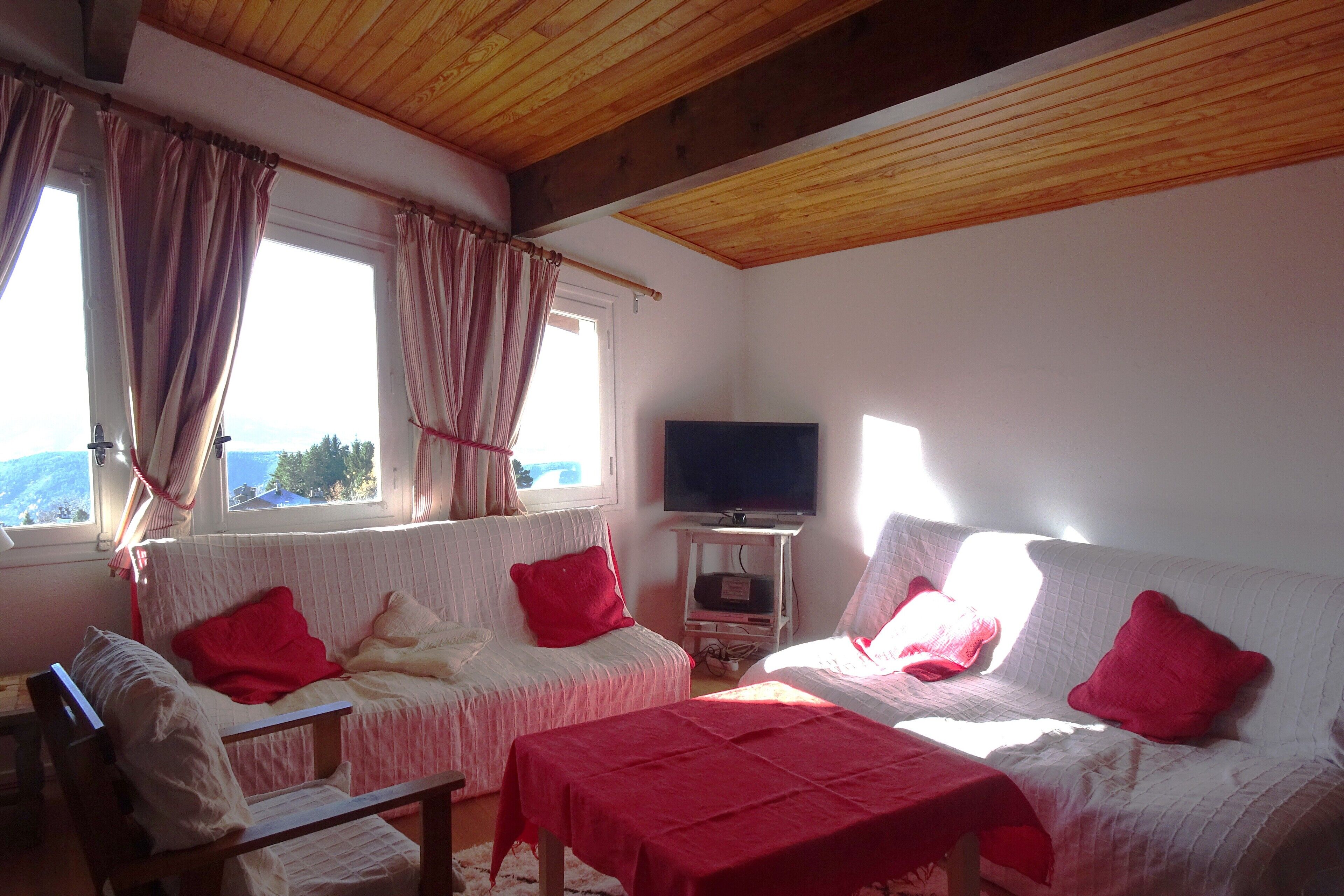 Televisio, takka, DVD-soitin, kirjoja