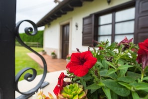Detalle exterior