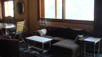 TV, fireplace, books, stereo