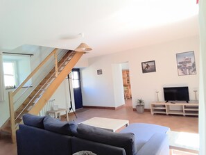 Televisión, chimenea, reproductor de DVD y libros 