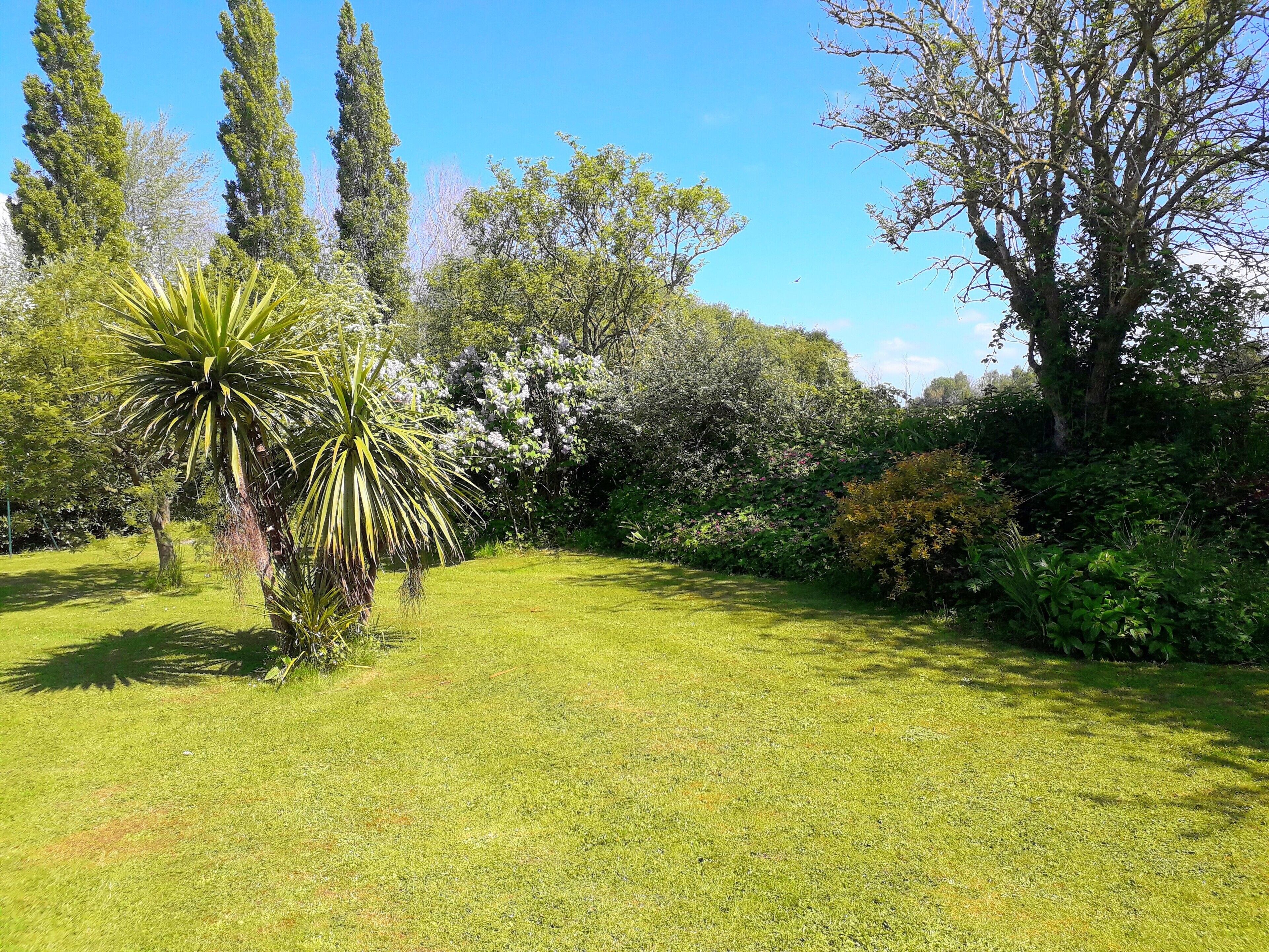 A well-maintained garden with a variety of trees and shrubs, a clear sky, and a grassy lawn.