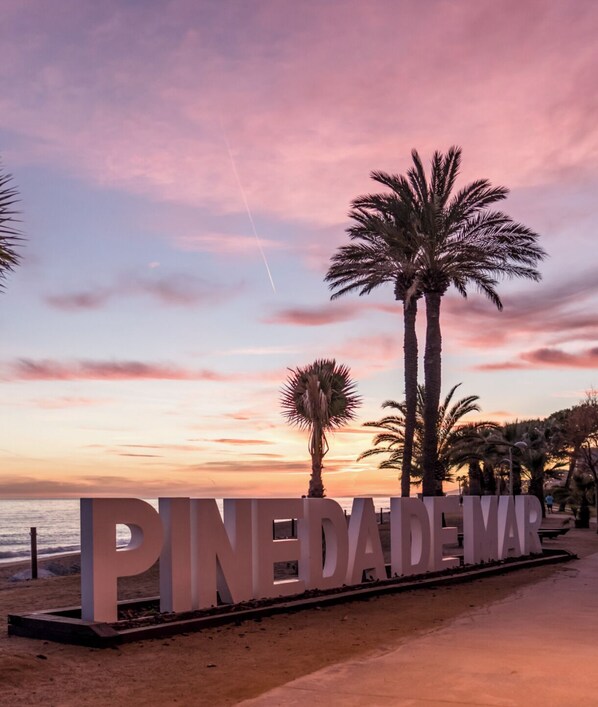 A beachside sign with the text 'PINEDADEIMAR' and palm trees.