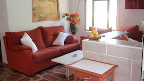 TV, DVD player, books, video library