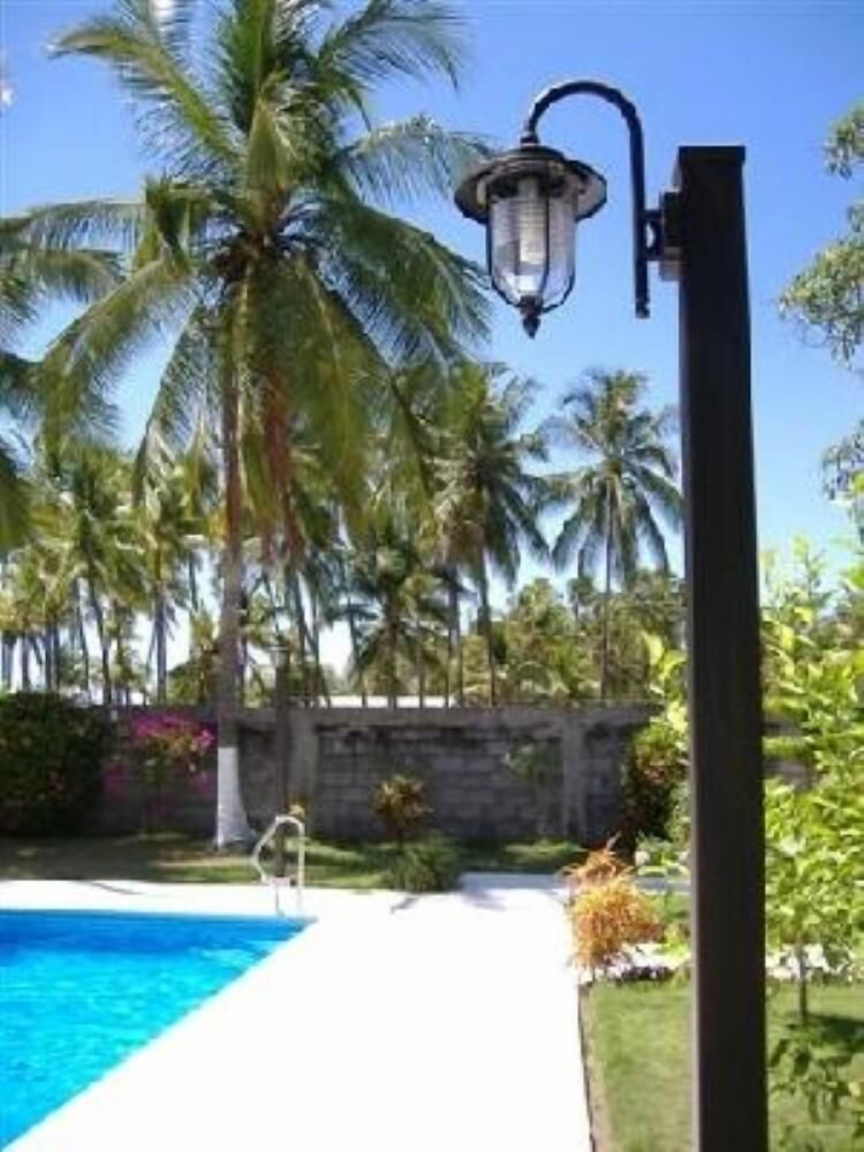 A pool area with palm trees and a lamp post.