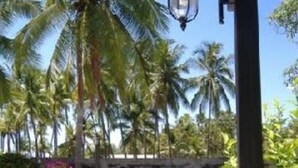A pool area with palm trees and a lamp post. - El Roble: villa directly on the beach. (El Roble)
