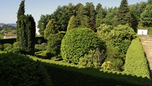 Un jardí ben cuidat amb diferents tipus d'arbres i arbustos, incloent un conífer alt i un arbust esfèric gran.