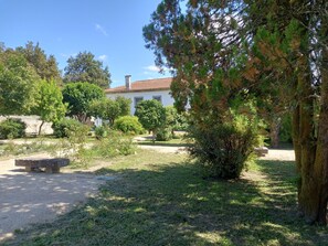 Property grounds - Beautiful Farm House with private pool and tennis court (Medelo)