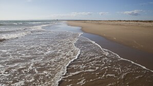 Une plage où les vagues viennent doucement lécher le rivage, un ciel dégagé et un horizon lointain.