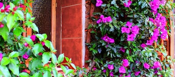 Cedro comfortable and cozy bedroom in 17th century house at 30 min. of Toluca