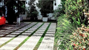 Un edificio blanco con varias ventanas y balcones, rodeado de plantas en macetas y un sendero pavimentado.