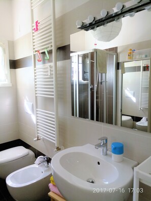 Shower, hair dryer, bidet, towels