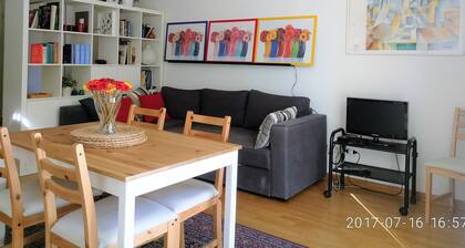 In Florence, sunny and beautiful two-story flat, well connected to the center