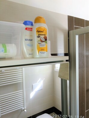 Douche, sèche-cheveux, bidet, serviettes fournies