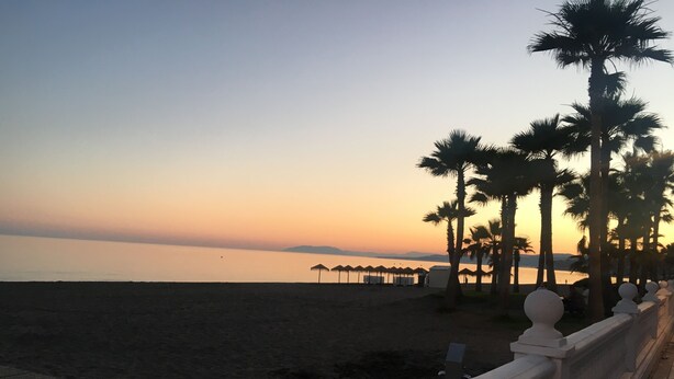Une plage bordée de palmiers et délimitée par une clôture.