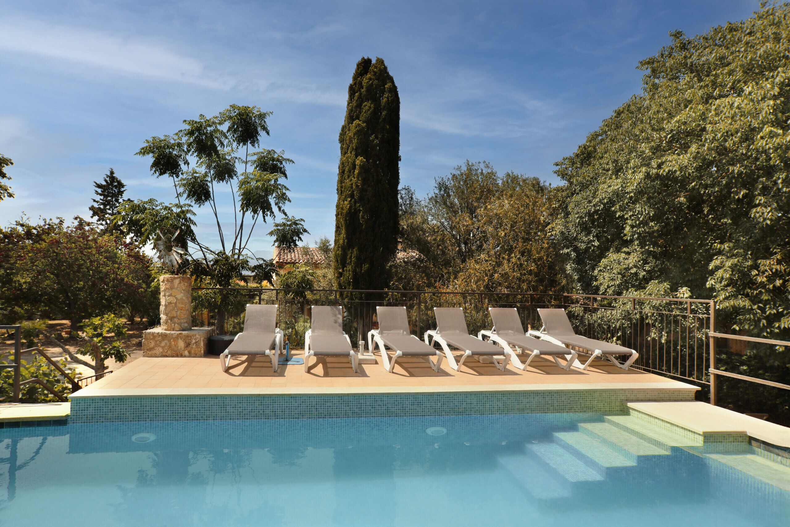 A swimming pool with lounge chairs and a tall tree in the background.