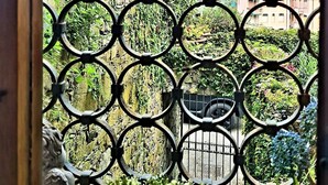 Vista a través de una reja de metal con diseños circulares, mostrando un jardín exuberante con diversas plantas y flores, y un paisaje distante con edificios.
