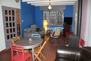 Televisión, chimenea, reproductor de DVD, libros