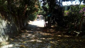 Un chemin de pierre mène à un bâtiment doté d’une entrée couverte, le tout étant entouré d’un feuillage dense et d’arbres.