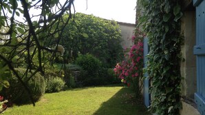 Ein Garten mit Rasen, einer mit Kletterpflanzen bewachsenen Mauer und einer blauen Tür.
