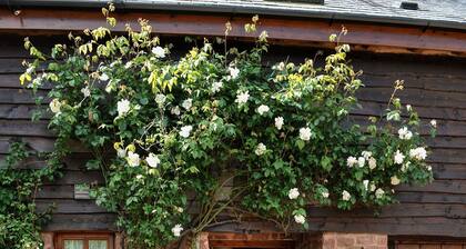 Floran navetta (vuodepaikkoja 4. 2 makuuhuonetta)