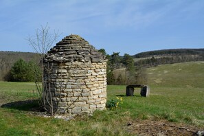 Property grounds - “La Ferme du Clos”, Burgundy, between Chablis and Champagne (Molosmes)