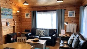 Smart TV, fireplace, DVD player, books