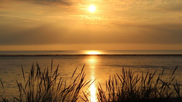 A sunset over a calm sea with grass in the foreground. - Willow Lodge, Holiday Log Cabin, Cedar Springs, Heacham. Close to the beach. (Heacham)