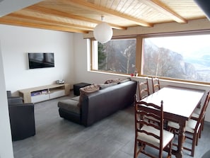 TV, fireplace, video games, DVD player