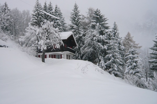 Chalet sous la neige. Plein d'espace autour pour jouer.