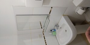 Ducha y papel higiénico