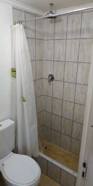 Shower, toilet paper