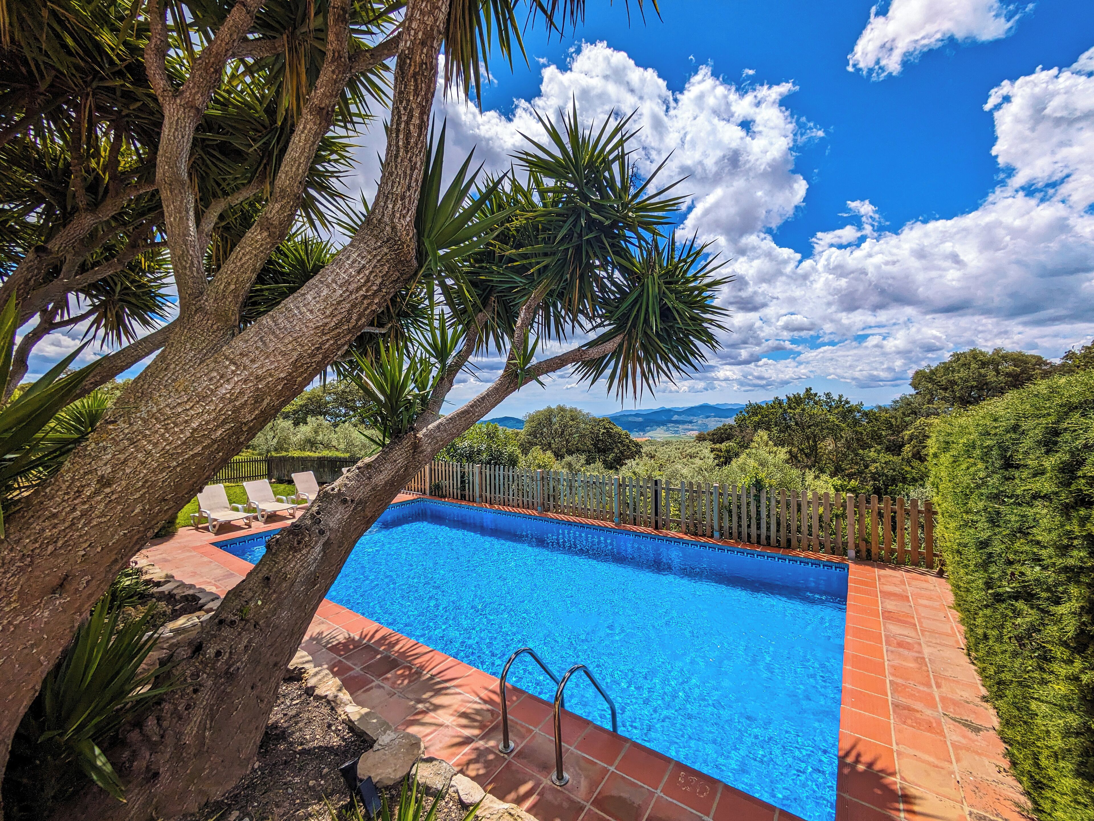 Una piscina rectangular con borde de azulejos, rodeada por una valla de madera, y un árbol en primer plano.